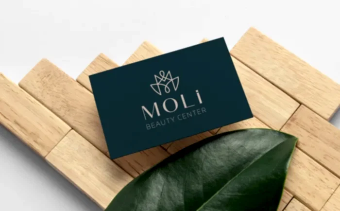 Moli Logo Tasarım Ajansı