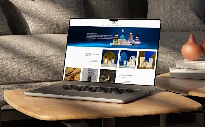 birikim pilleri web tasarım ajansı